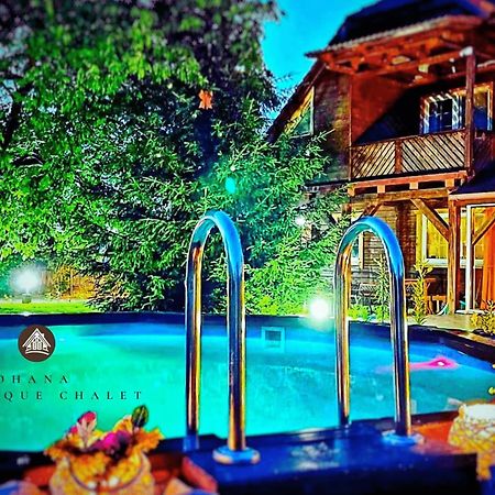Ohana Boutique Hotel Vistea de Sus Ngoại thất bức ảnh