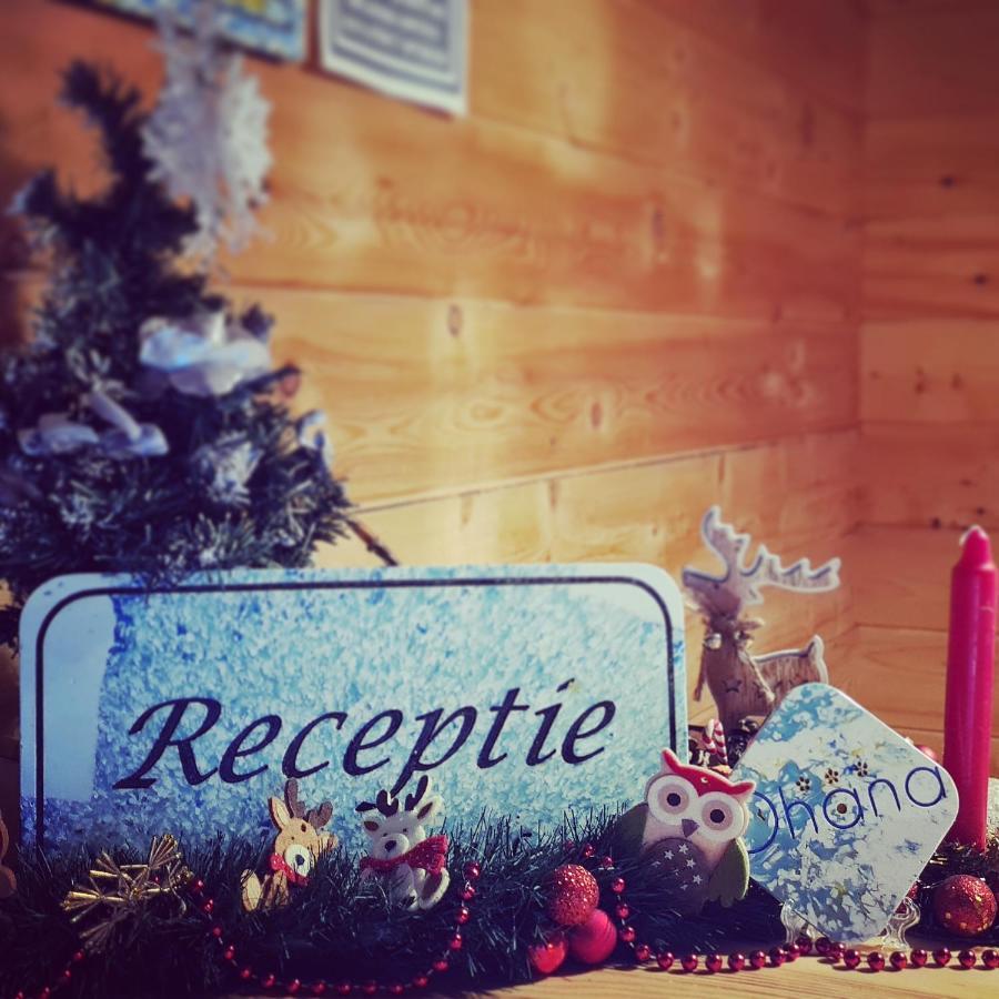 Ohana Boutique Hotel Vistea de Sus Ngoại thất bức ảnh