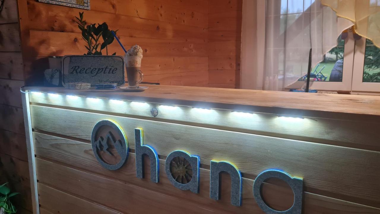 Ohana Boutique Hotel Vistea de Sus Ngoại thất bức ảnh