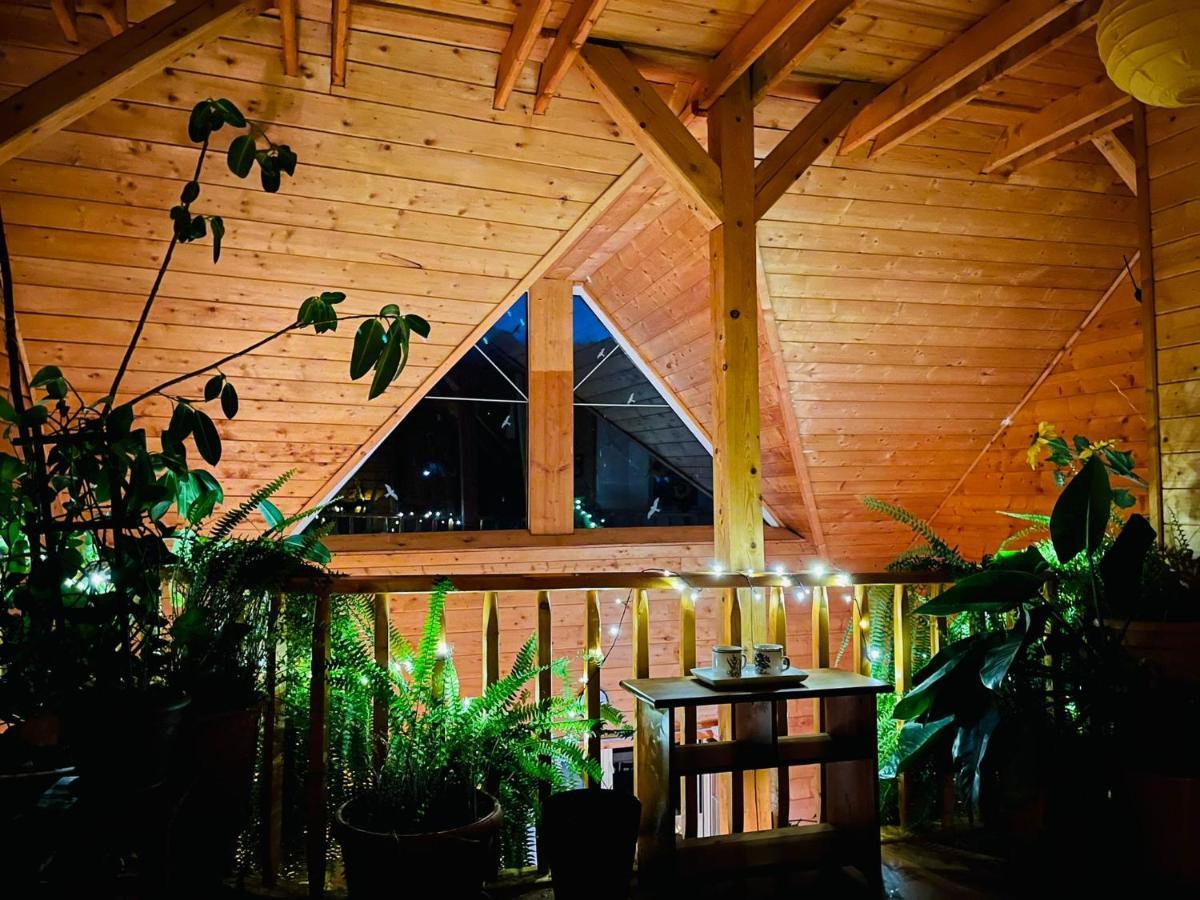 Ohana Boutique Hotel Vistea de Sus Ngoại thất bức ảnh
